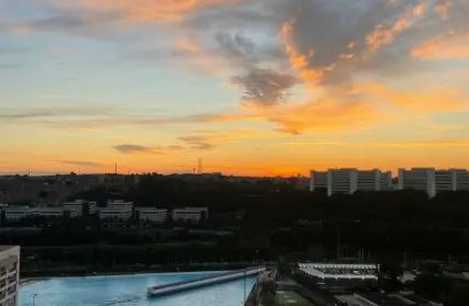 Imagem: Apartamento para Venda, Jardim Dom Bosco