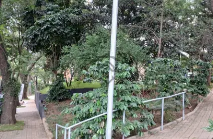 Imagem: Apartamento para Venda, Chácara Klabin