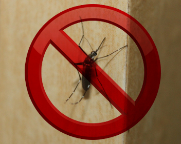 Condomínios promovem campanhas para combater o Aedes Aegypti