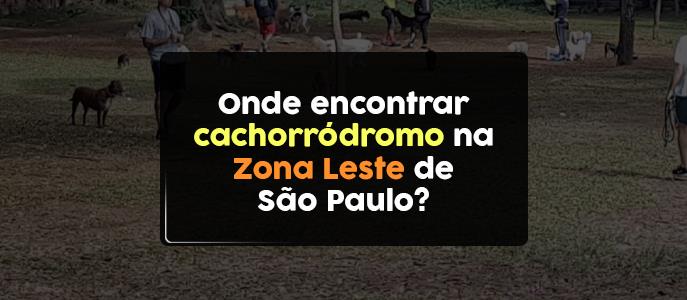 Cachorródromos na Zona Leste: espaços para lazer e bem-estar dos pets