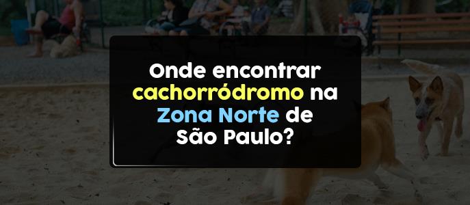 Cachorródromos na Zona Norte: espaços para lazer e bem-estar dos pets