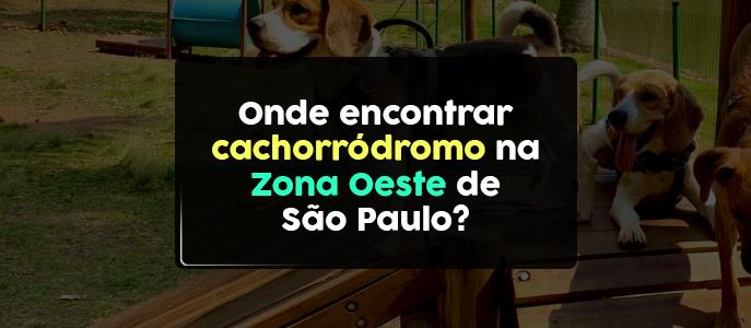 Cachorródromos na Zona Oeste: espaços para lazer e bem-estar dos pets