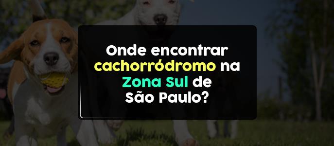 Cachorródromos na Zona Sul: espaços para lazer e bem-estar dos pets