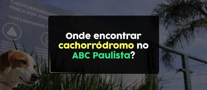 Cachorródromos no ABC: espaços para lazer e bem-estar dos pets