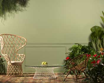 Dicas para colaborar com o Meio Ambiente em sua casa