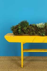 Decoração - Inspire-se nas tonalidades vivas para deixar a sua casa no clima da primavera