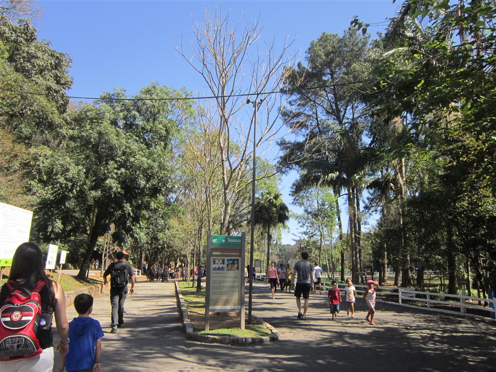 Passeios gratuitos em São Paulo