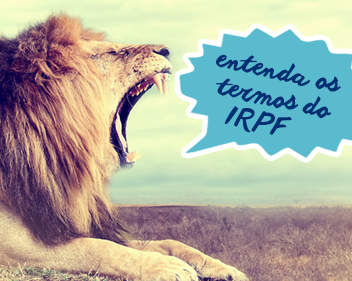 Especial Imposto de Renda: principais termos