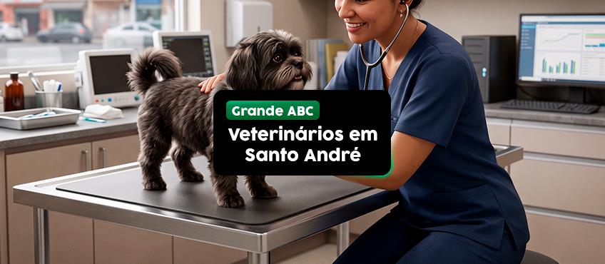 Veterinários em Santo André: 5 clínicas para levar seu pet