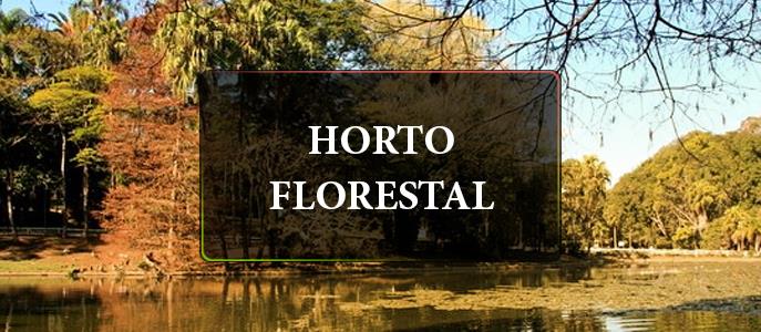 Conheça o Parque Horto Florestal, na Zona Norte de São Paulo