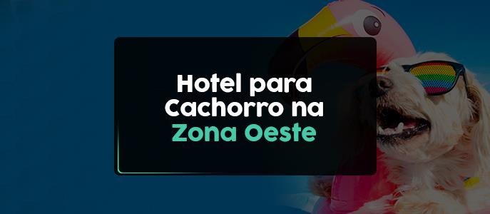 Hotéis e Creches para Cachorros na Zona Oeste de São Paulo