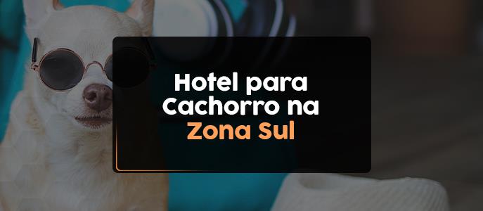 Hotéis e Creches para Cachorros na Zona Sul de São Paulo