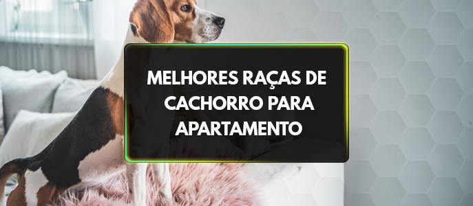 Cachorro em Apartamento: Veja as melhores raças