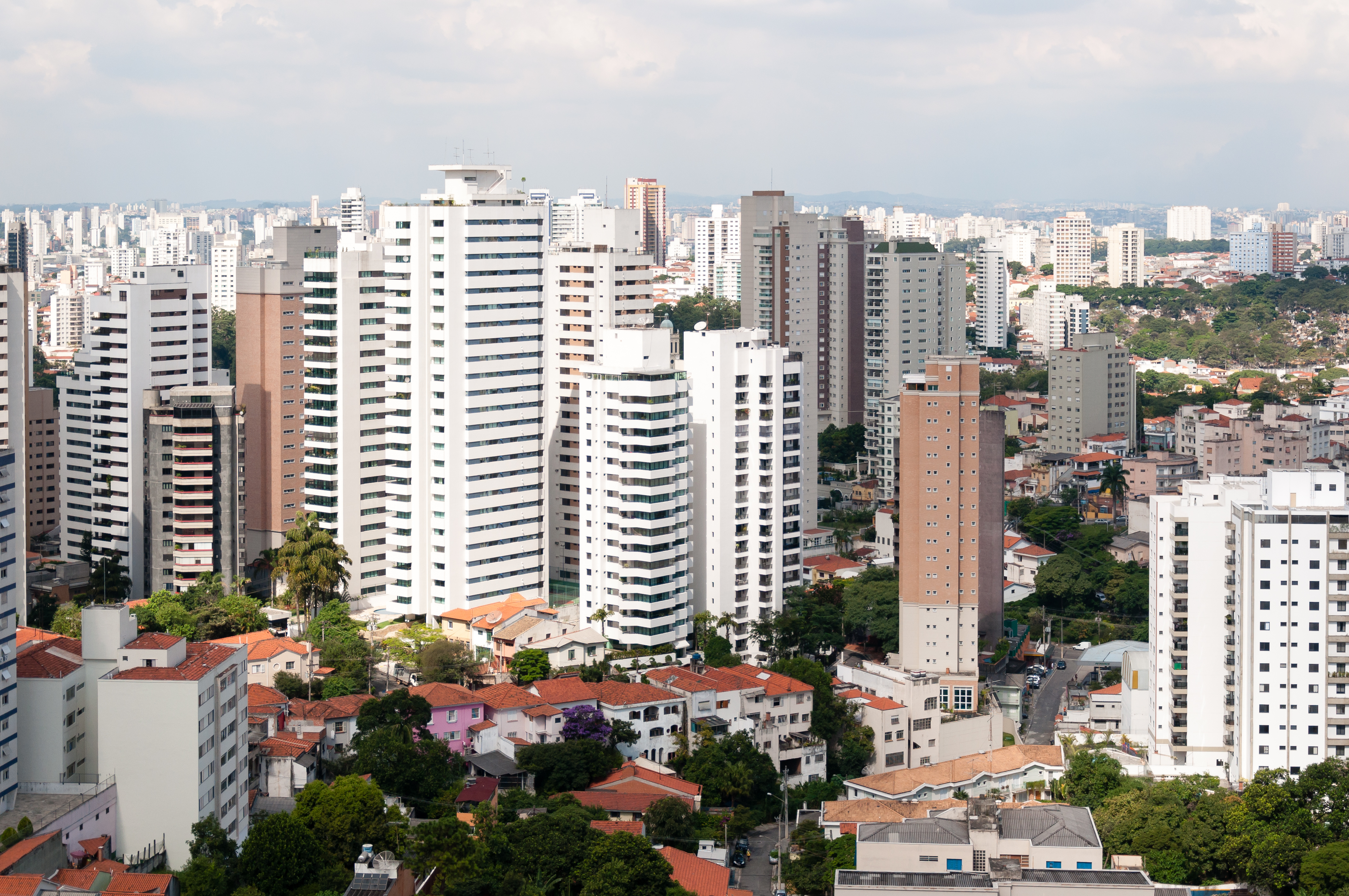 Momento de observação