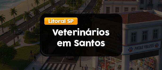 Veterinários em Santos: onde encontrar? 