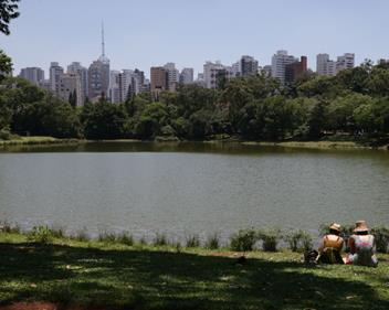 Mercado Imobiliário: Por que investir ou morar na Aclimação?